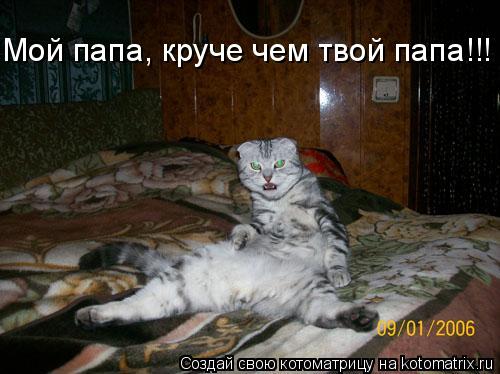 Мой папа, круче чем твой папа!!!... Котоматрица: Мой папа, круче чем твой папа!!!