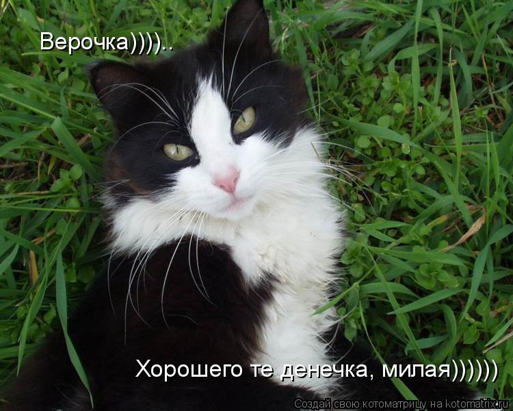 Верочка)))).. Хорошего те денечка, милая))))))... Котоматрица: Верочка)))).. Хорошего те денечка, милая))))))