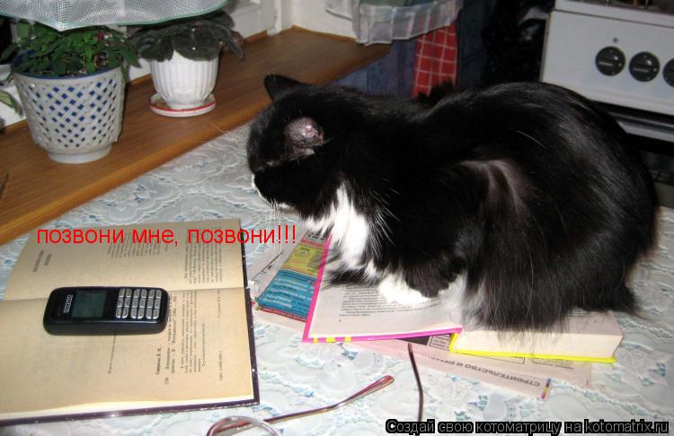 позвони мне, позвони!!!... Котоматрица: позвони мне, позвони!!!