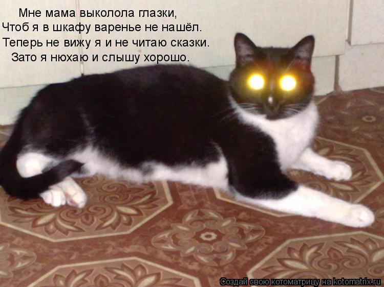 Котоматрица: Мне мама выколола глазки, Чтоб я в шкафу варенье не нашёл. Теперь не вижу я и не читаю сказки. Зато я нюхаю и слышу хорошо.