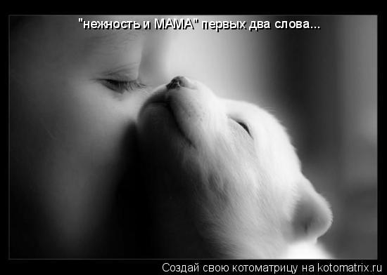 'нежность и МАМА' первых два слова...... Котоматрица: 'нежность и МАМА' первых два слова...