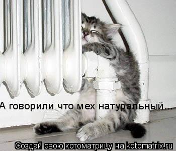 А говорили что мех натуральный...... Котоматрица: А говорили что мех натуральный...