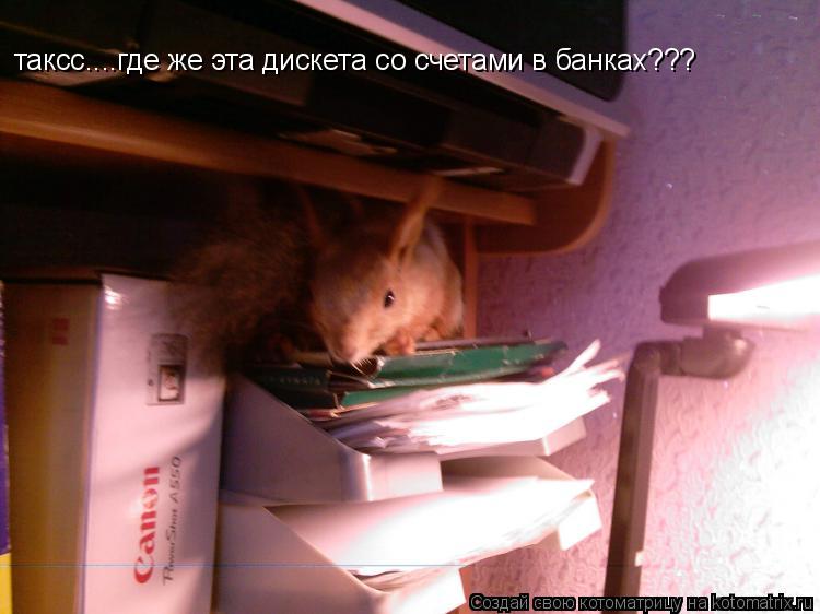 таксс....где же эта дискета со счетами в банках???... Котоматрица: таксс....где же эта дискета со счетами в банках???