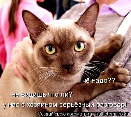 Котоматрица: не видишь что ли?  у нас с хозяином серьёзный разговор! чё надо??