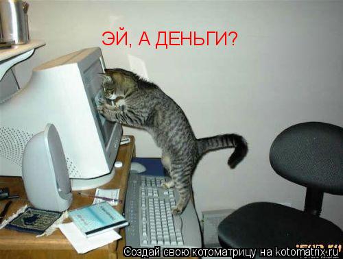 Котоматрица: ЭЙ, А ДЕНЬГИ?