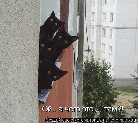 Ой.. а чего это ... там?!... Котоматрица: Ой.. а чего это ... там?!