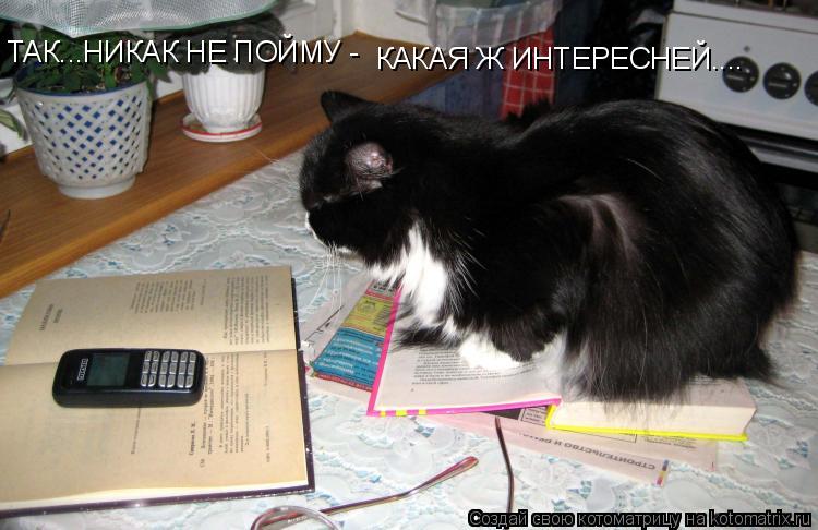 ТАК...НИКАК НЕ ПОЙМУ - КАКАЯ Ж ИНТЕРЕСНЕЙ....... Котоматрица: ТАК...НИКАК НЕ ПОЙМУ - КАКАЯ Ж ИНТЕРЕСНЕЙ....