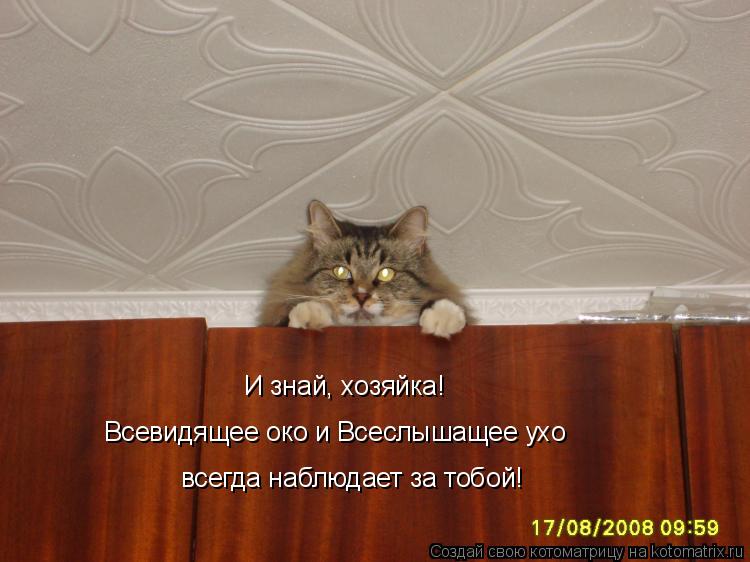 Котоматрица: И знай, хозяйка!  Всевидящее око и Всеслышащее ухо  всегда наблюдает за тобой!