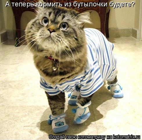 А теперь кормить из бутылочки будете?... Котоматрица: А теперь кормить из бутылочки будете?