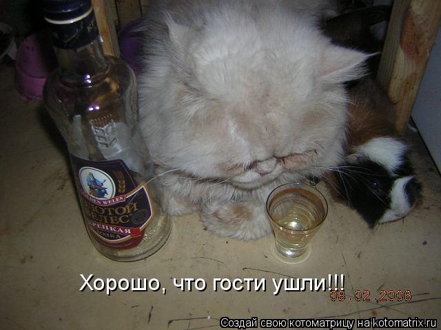 Хорошо, что гости ушли!!!... Котоматрица: Хорошо, что гости ушли!!!