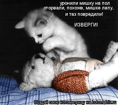уронили мишку на пол оторвали, похоже, мишке лапу.. и таз повредили! ИЗВЕРГИ!... Котоматрица: уронили мишку на пол оторвали, похоже, мишке лапу.. и таз повредили! ИЗВЕРГИ!