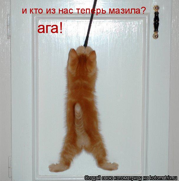 ага! и кто из нас теперь мазила?... Котоматрица: ага! и кто из нас теперь мазила?