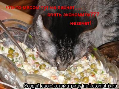 что-то мясом тут не пахнет..... опять экономите??? незачет!... Котоматрица: что-то мясом тут не пахнет..... опять экономите??? незачет!