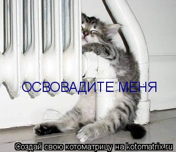 ОСВОВАДИТЕ МЕНЯ... Котоматрица: ОСВОВАДИТЕ МЕНЯ