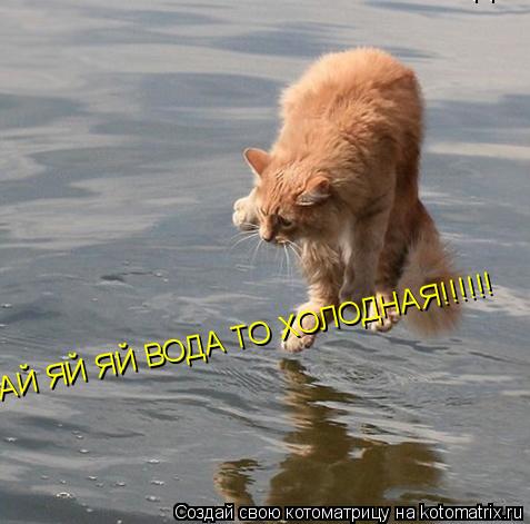 АЙ ЯЙ ЯЙ ВОДА ТО ХОЛОДНАЯ!!!!!! АЙ ЯЙ ЯЙ ВОДА ТО ХОЛОДНАЯ!!!!!!... Котоматрица: АЙ ЯЙ ЯЙ ВОДА ТО ХОЛОДНАЯ!!!!!! АЙ ЯЙ ЯЙ ВОДА ТО ХОЛОДНАЯ!!!!!!