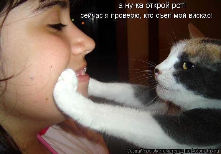 а ну-ка открой рот! сейчас я проверю, кто съел мой вискас!... Котоматрица: а ну-ка открой рот! сейчас я проверю, кто съел мой вискас!