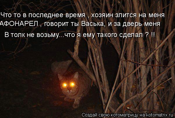 Что то в последнее время , хозяин злится на меня В толк не возьму...что я ему такого сделал ? !! АФОН... Котоматрица: Что то в последнее время , хозяин злится на меня В толк не возьму...что я ему такого сделал ? !! АФОНАРЕЛ , говорит ты Васька, и за дверь меня