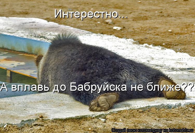 Котоматрица: Интерестно... А вплавь до Бабруйска не ближе???