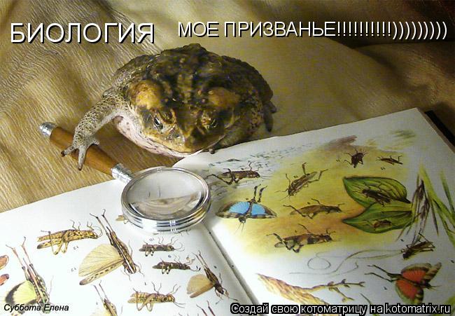 БИОЛОГИЯ МОЕ ПРИЗВАНЬЕ!!!!!!!!!!)))))))))... Котоматрица: БИОЛОГИЯ МОЕ ПРИЗВАНЬЕ!!!!!!!!!!)))))))))