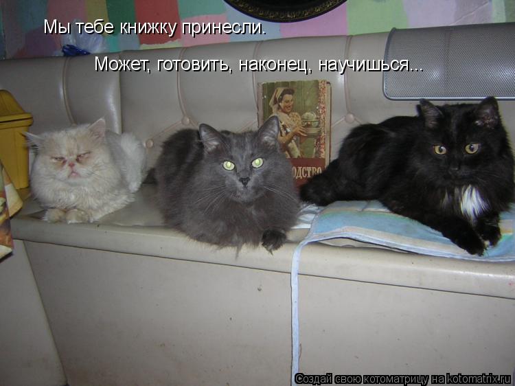 Мы тебе книжку принесли. Может, готовить, наконец, научишься...... Котоматрица: Мы тебе книжку принесли. Может, готовить, наконец, научишься...