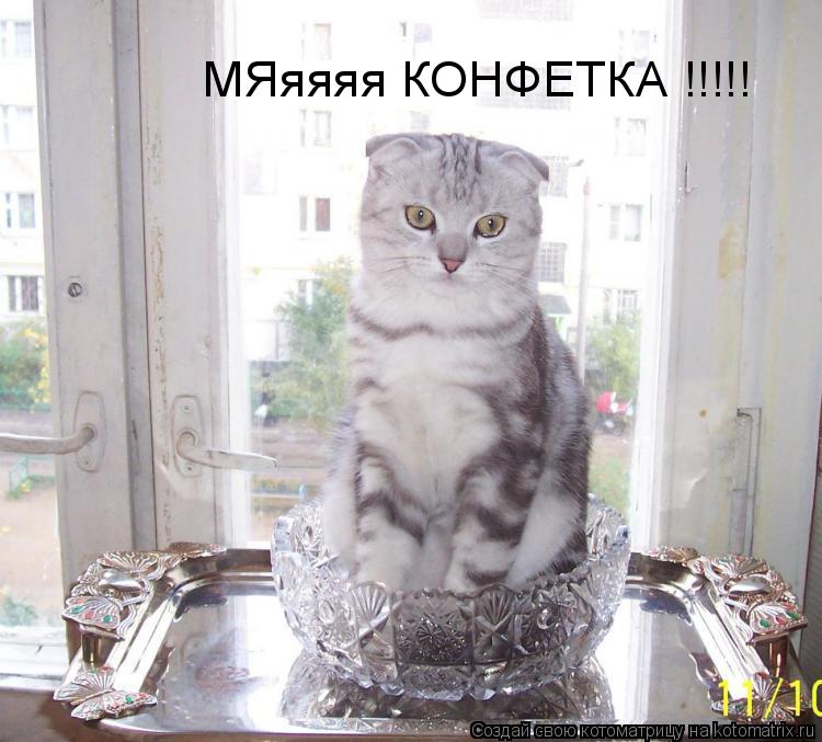 МЯяяяя КОНФЕТКА !!!!!... Котоматрица: МЯяяяя КОНФЕТКА !!!!!