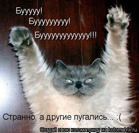 Бууууу! Бууууууууу! Бууууууууууууу!!! Странно, а другие пугались... :(... Котоматрица: Бууууу! Бууууууууу! Бууууууууууууу!!! Странно, а другие пугались... :(
