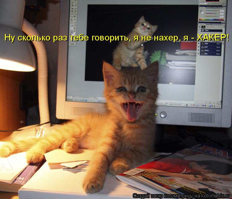 Котоматрица: Ну сколько раз тебе говорить, я не нахер, я - ХАКЕР!