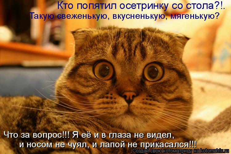 Котоматрица: Что за вопрос!!! Я её и в глаза не видел,  и носом не чуял, и лапой не прикасался!!! Кто попятил осетринку со стола?!. Такую свеженькую, вкусненьк