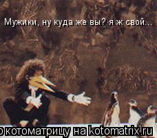 Мужики, ну куда же вы? я ж свой...... Котоматрица: Мужики, ну куда же вы? я ж свой...