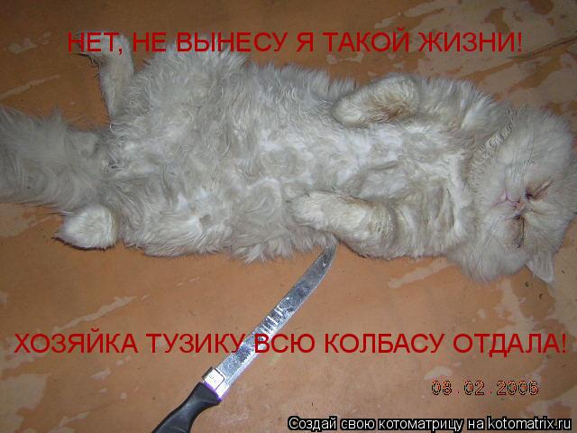 НЕТ, НЕ ВЫНЕСУ Я ТАКОЙ ЖИЗНИ! ХОЗЯЙКА ТУЗИКУ ВСЮ КОЛБАСУ ОТДАЛА!... Котоматрица: НЕТ, НЕ ВЫНЕСУ Я ТАКОЙ ЖИЗНИ! ХОЗЯЙКА ТУЗИКУ ВСЮ КОЛБАСУ ОТДАЛА!