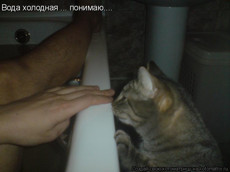 Котоматрица: Вода холодная ... понимаю....