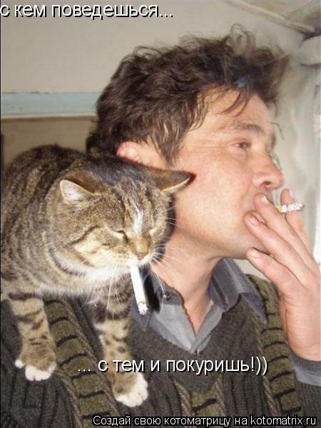 Котоматрица: с кем поведешься... ... с тем и покуришь!))