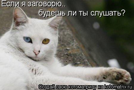 Котоматрица: Если я заговорю.. будешь ли ты слушать?