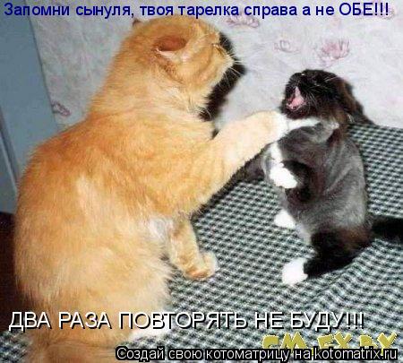 Запомни сынуля, твоя тарелка справа а не ОБЕ!!! ДВА РАЗА ПОВТОРЯТЬ НЕ БУДУ!!!... Котоматрица: Запомни сынуля, твоя тарелка справа а не ОБЕ!!! ДВА РАЗА ПОВТОРЯТЬ НЕ БУДУ!!!