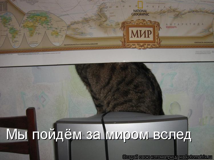 Котоматрица: Мы пойдём за миром вслед