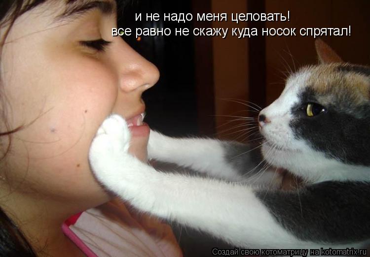 и не надо меня целовать! все равно не скажу куда носок спрятал!... Котоматрица: и не надо меня целовать! все равно не скажу куда носок спрятал!