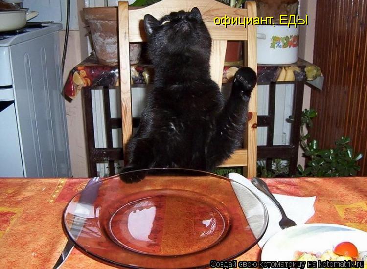 официант, ЕДЫ... Котоматрица: официант, ЕДЫ