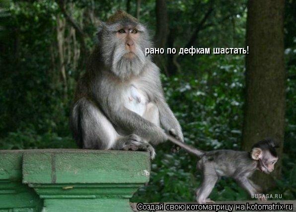 рано по дефкам шастать!... Котоматрица: рано по дефкам шастать!