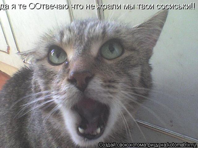 Котоматрица: да я те ООтвечаю что не жрали мы твои сосиськи!!