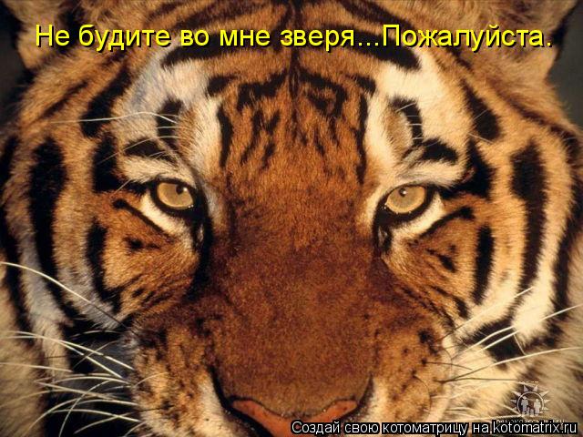 Котоматрица: Не будите во мне зверя...Пожалуйста.