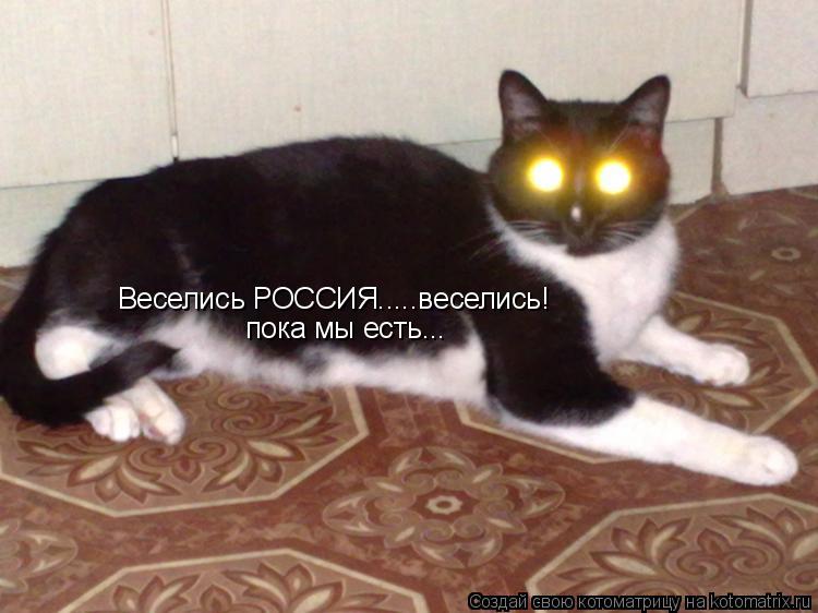 Веселись РОССИЯ.....веселись! пока мы есть...... Котоматрица: Веселись РОССИЯ.....веселись! пока мы есть...