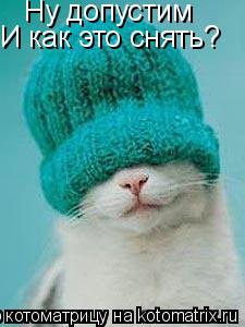 Ну допустим И как это снять?... Котоматрица: Ну допустим И как это снять?