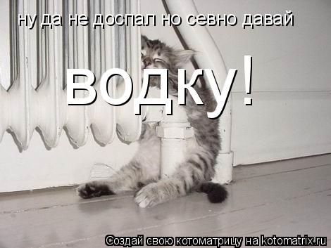 ну да не доспал но севно давай водку!... Котоматрица: ну да не доспал но севно давай водку!
