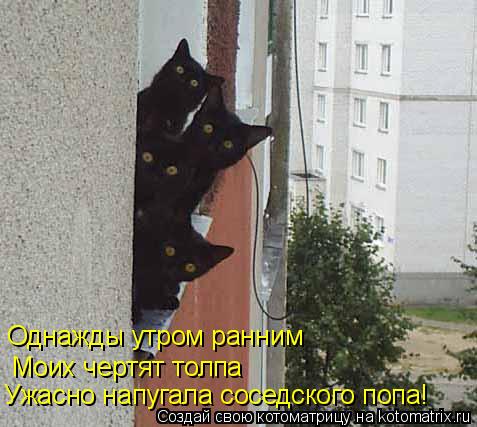 Однажды утром ранним Моих чертят толпа Ужасно напугала соседского попа!... Котоматрица: Однажды утром ранним Моих чертят толпа Ужасно напугала соседского попа!