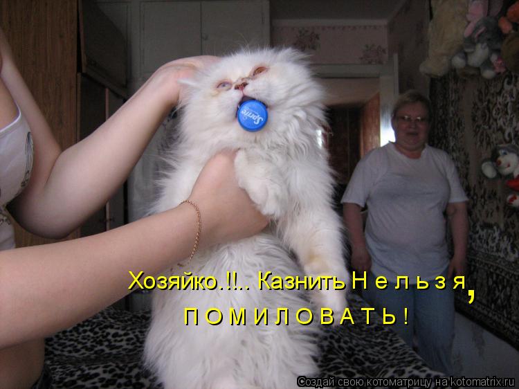 Котоматрица: Хозяйко.!!.. Казнить Н е л ь з я , П О М И Л О В А Т Ь !