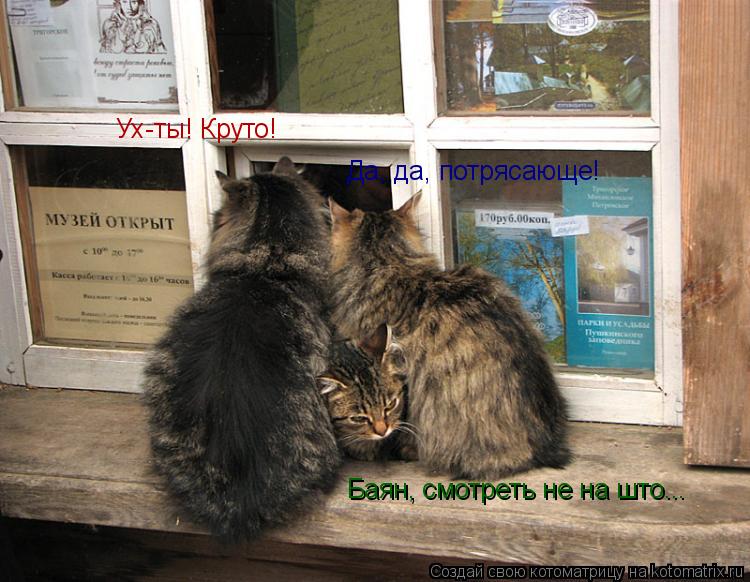 Котоматрица: Ух-ты! Круто! Да, да, потрясающе! Баян, смотреть не на што...