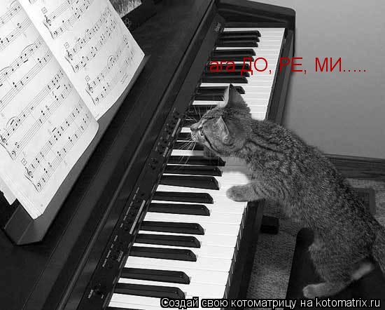 Котоматрица: ага ДО, РЕ, МИ.....