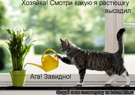 Хозяйка! Смотри какую я растюшку высадил Ага! Завидно!... Котоматрица: Хозяйка! Смотри какую я растюшку высадил Ага! Завидно!