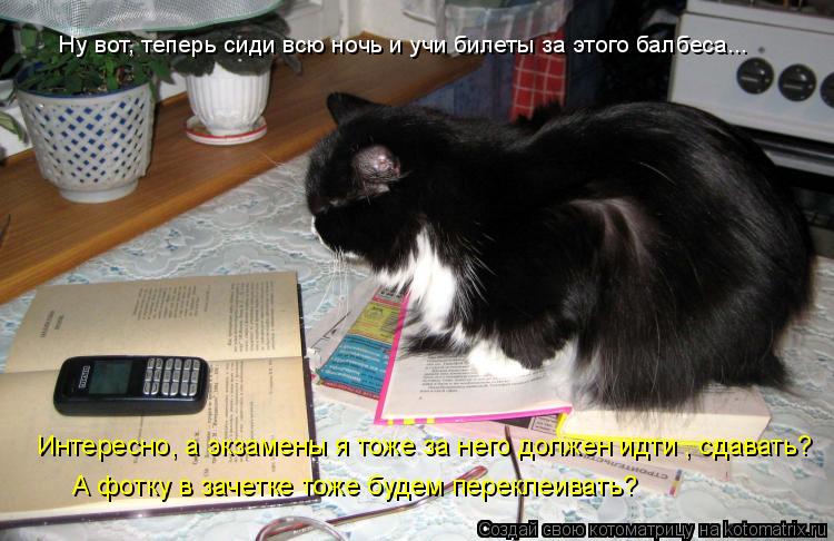 Ну вот, теперь сиди всю ночь и учи билеты за этого балбеса... Интересно, а экзамены я тоже за него до... Котоматрица: Ну вот, теперь сиди всю ночь и учи билеты за этого балбеса... Интересно, а экзамены я тоже за него должен идти , сдавать? А фотку в зачетке тоже