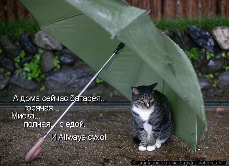 А дома сейчас батарея... горячая... Миска... полная... с едой... И Allways сухо!... Котоматрица: А дома сейчас батарея... горячая... Миска... полная... с едой... И Allways сухо!